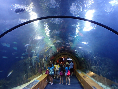 L'Oceanogràfic Center.